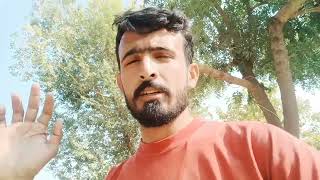 मुर्गी ने अंडा दे दिया 😂 - Vlog 27 | Chaharji vlogs #chaharjivlogs #murgi #anda
