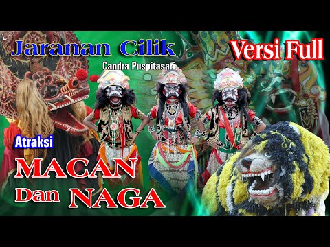 Jaranan Cilik Candra Puspitasari // Versi Full Atraksi Naga vs Macan