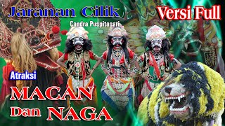 Jaranan Cilik Candra Puspitasari // Versi Full Atraksi Naga vs Macan