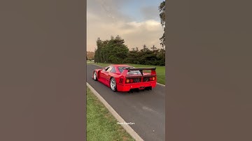 Stalling in your Ferrari F40LM! #automobile #carweek #ferrari #f40lm #f40 #ferrariF40