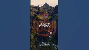 وتوبوا إلى الله جميعاً أيه المؤمنون.. #سورة_النور #ريحانة_قرآن #تلاوات_خاشعة #قرآن #ياسر_الدوسري