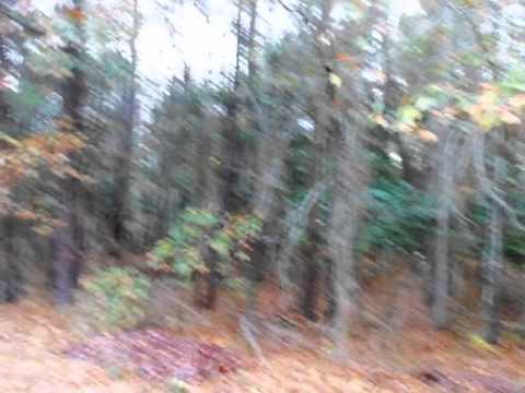 900 Andiron Dr, Sumter, SC home video tour
