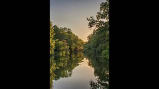 Golden Silence on the River ✨