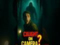 Bigfoot Caught in Florida Swamp?! 👣 You Won’t Believe This Footage!