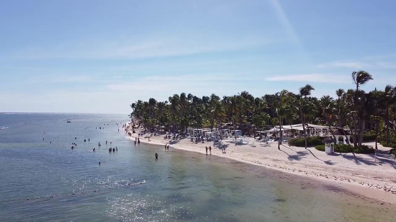 Cabeza De Toro  - 12/01/2026