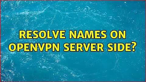 Resolve names on OpenVPN server side? (2 Solutions!!)
