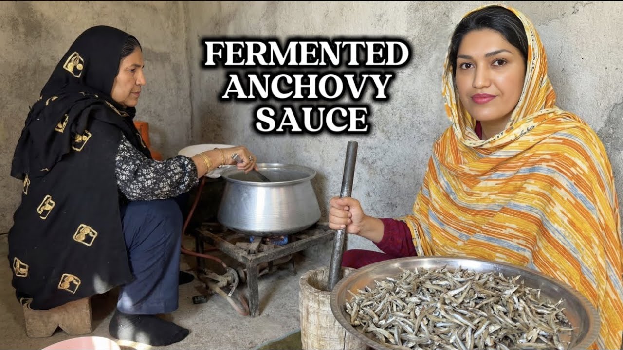 South Iran Village Life | Fermented Anchovy Sauce (Mahyaveh) – Part2