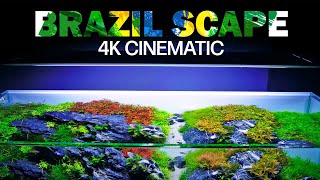 Overgrown beauty - Our Brazilian-Style CONTEST Aquascape @ 3 Months - 4K Cinematic