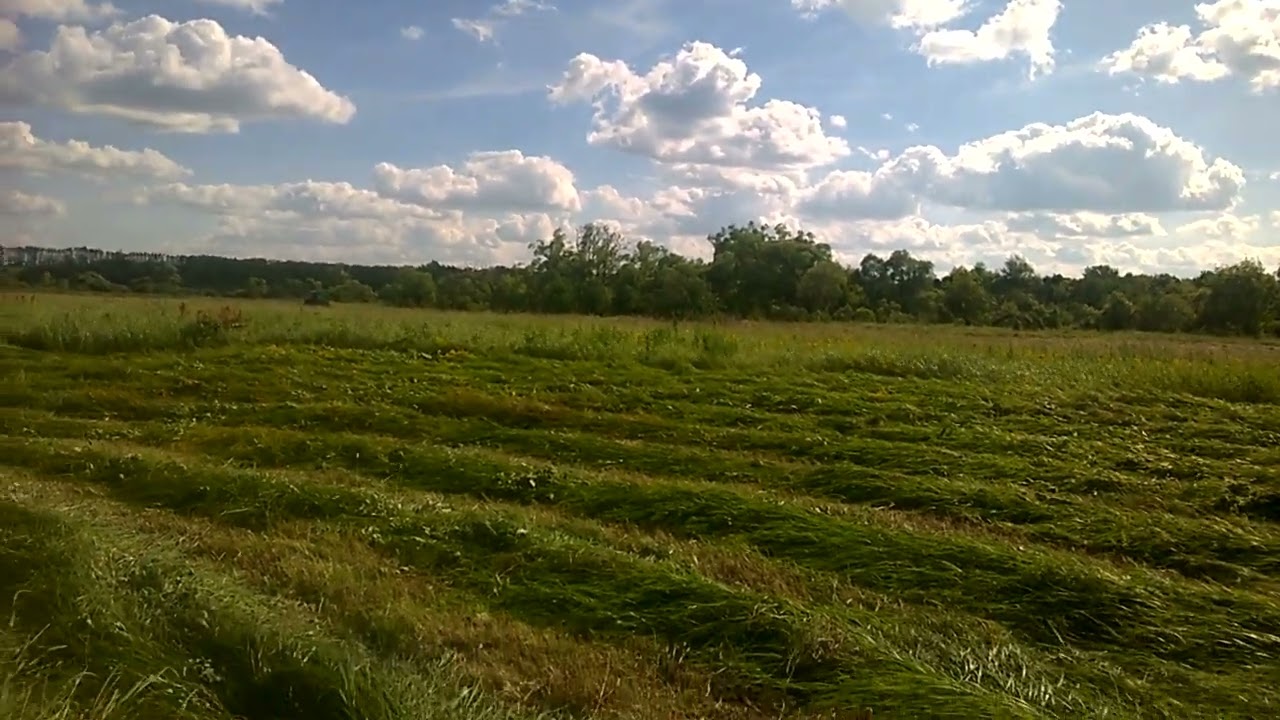 Покос травы  Наём трактора  2025  #4