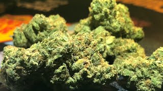 FaceOff OG strain review