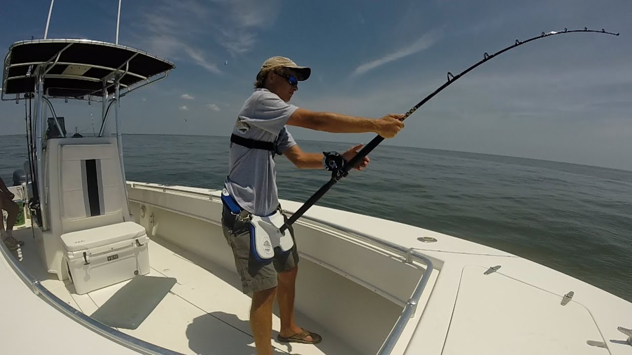 Light Tackle Shark FishingGoPro YouTube