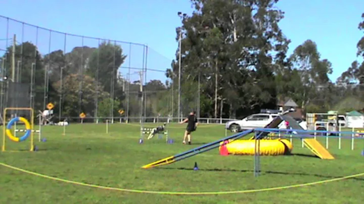 Vickie & Shine RQH Springwood