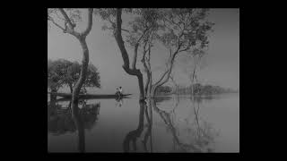 NIRVANA TRAILER