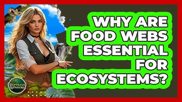 Why Are Food Webs Essential For Ecosystems? - Reptilian Wonders