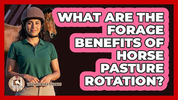 What Are The Forage Benefits Of Horse Pasture Rotation?