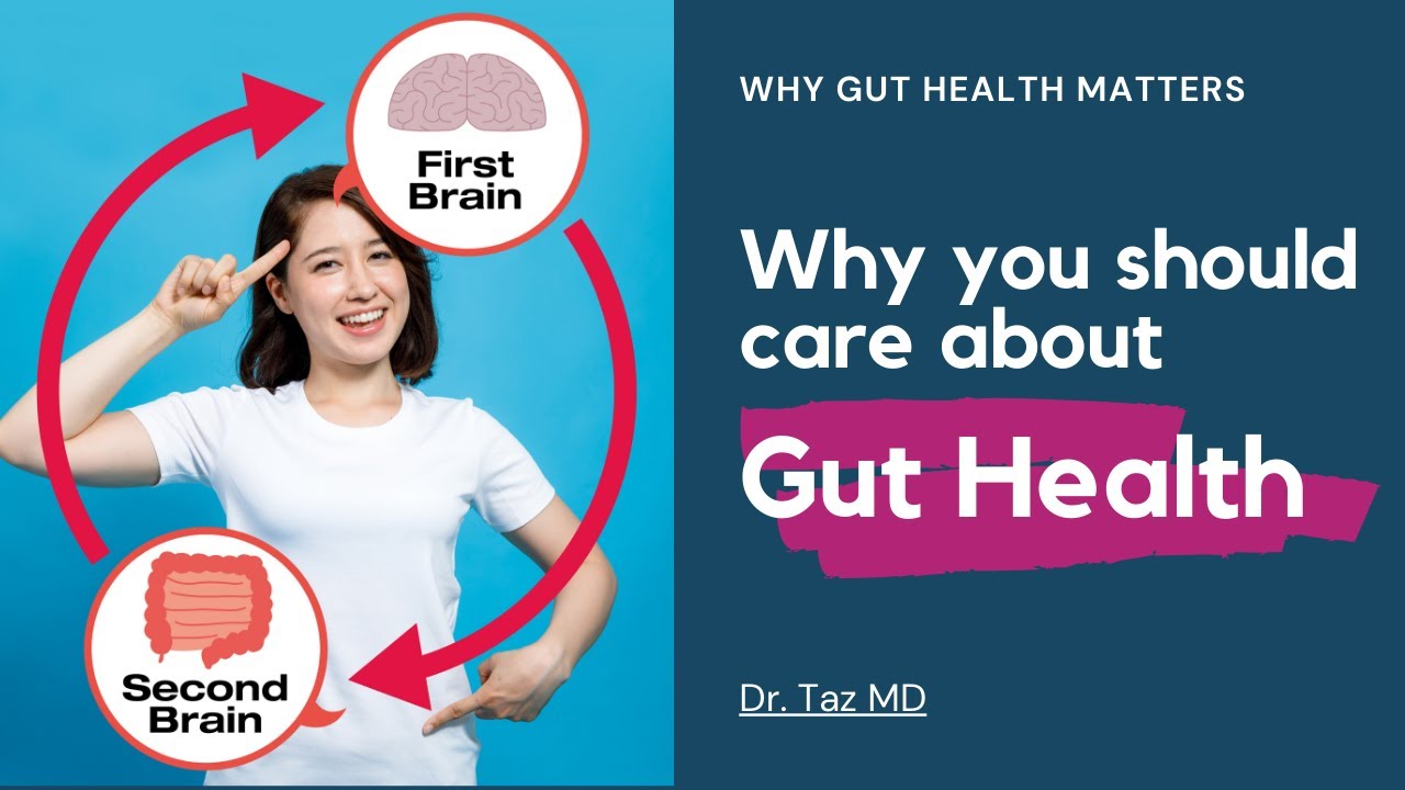 Gut Health Immunity Connection | Dr. Taz Explains