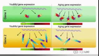 ageLOC R2   Long Training Video Part 1
