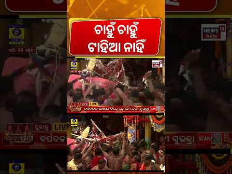 କାଳିଆ ଟାହିଆକୁ ମୁକୁଳା କରିଦେଲେ... Jagannath Tahia | Bahuda Yatra | Gundicha Mandir | Rath Yatra