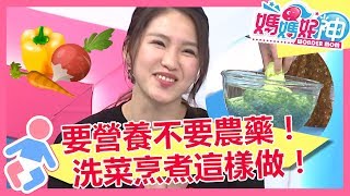 洗手作羹湯農藥全下肚？洗菜烹煮有方法，保留營養不再做白工！媽媽好神 EP211 一刀未剪版 黃瑽寧 譚敦慈｜精選