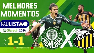 Palmeiras x Novorizontino | Melhores Momentos | Paulistão 2024