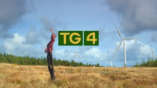 TG4 - Brand Identity