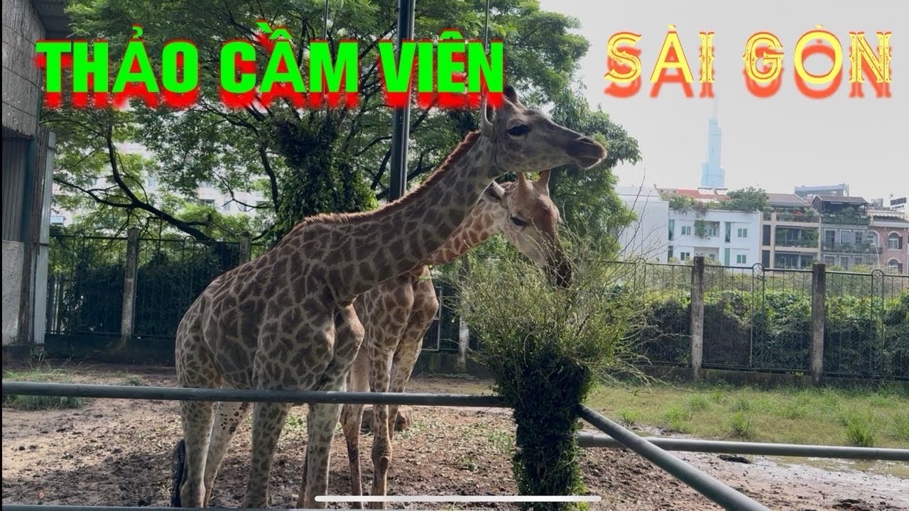 Tập 2| TRẢI NGHIỆM THẢO CẦM VIÊN SÀI GÒN CÙNG KHỐI NGHỈ HÈ |Út Dủ MT83