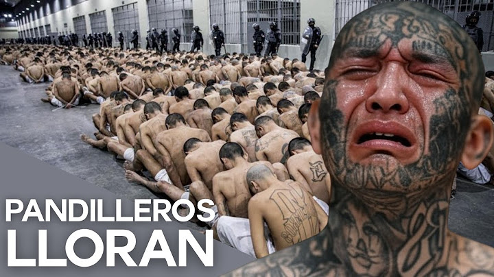 This is how they LIVE in the CECOT, the prison in El Salvador (gang members cry)