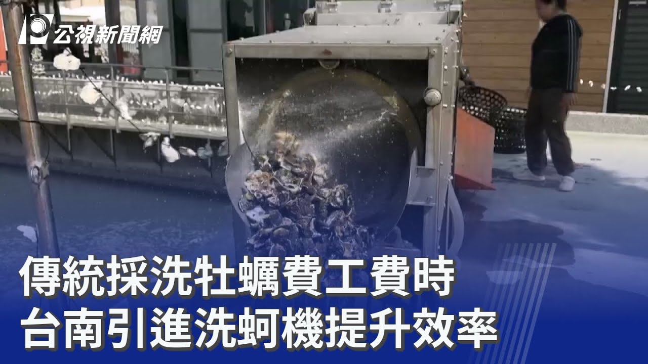 傳統採洗牡蠣費工費時 台南引進洗蚵機提升效率｜20260222 公視晚間新聞
