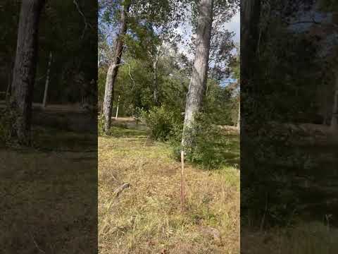 For Sale  418 Hickory Dr E Video IMG 4978
