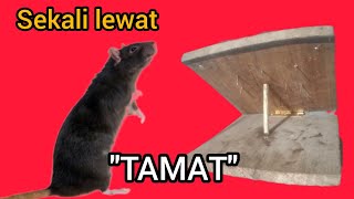 Download lagu super sadistic mouse trap