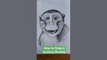 How to Draw a Smiling Monkey / Laughing Capuchin Monkey