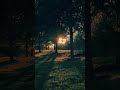 “Safai Aadhaa Imaan Hai ❤️ | Beautiful Islamic Hadees | Urdu Short”