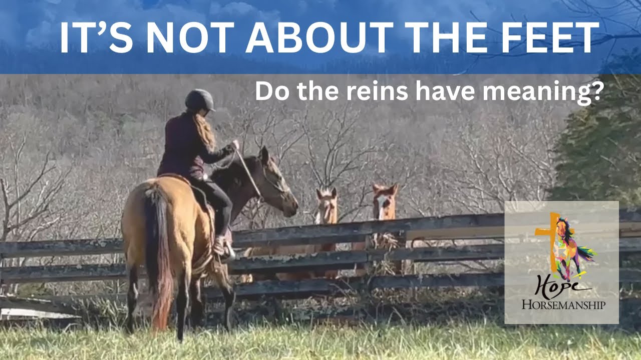 Почему я перестал говорить о том, как «встать на ноги»