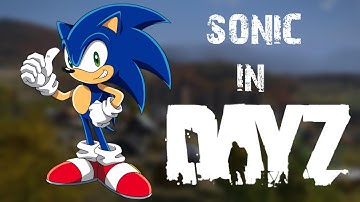 Sonic in DayZ