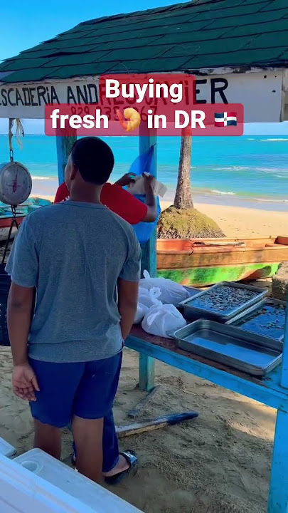 😋Buying fresh shrimps and fish in Dominican Republic 2023 #dominicana #travel #dominicanstyle
