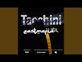 SHINOHIDDEN TACCHINI Beat 