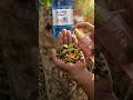 Survival Skills SIMPLE And USEFUL save SOAP in Camping #shorts #survival