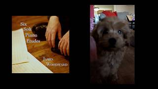 Six Soft Piano Etudes (Album) - Calming tracks with Puppy Canvas Videos screenshot 1