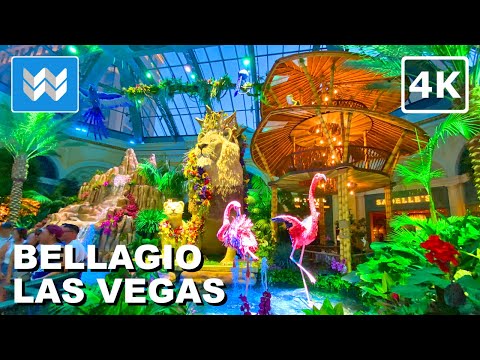Dope Gamers 409* Four Kings Casino and Slots PS4 ( Ludopatas en directo )