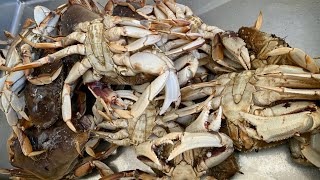 Top 5 Oregon Coast Crabbing Tips for Beginners