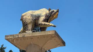 UC Berkeley 2024 campus tour Sonoma day trip