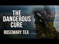 The Antidote of You: The 'Rosemary Tea' (Chapter 26)