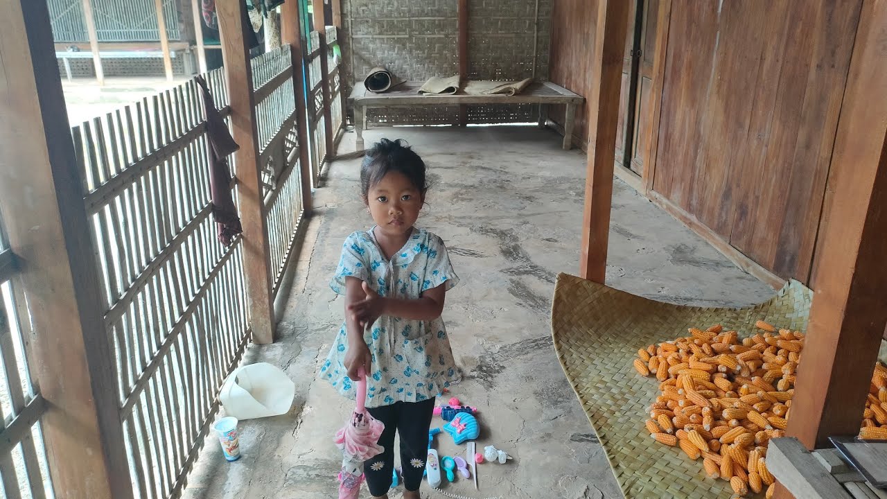 mondy caesar hito sedang live sekarang!