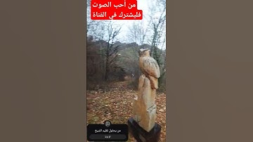 تلاوة عطرة مع الشيخ أحمد خضر