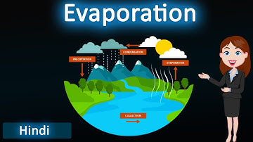 Evaporation || 3D animated explanation || class 11th & 9th science || physical nature of matter ||