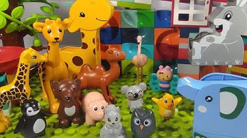 Satisfying Building Block Coaster Marble Run ASMR Haba Slope With So Many Funny Animals