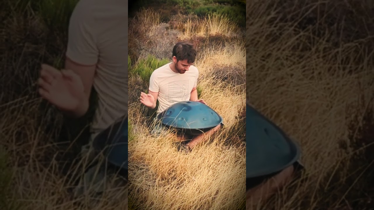 #handpan #melody to wish you a lovely week !