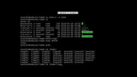 exploit.education - Nebula - Level 01 - Walkthrough