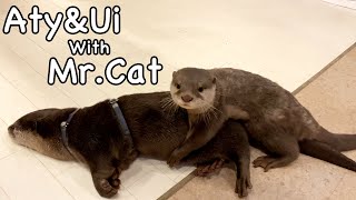We went to see the otter babies, and I didn't expect this! [Otter life Day 612]