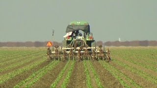 Farmers facing drought disaster